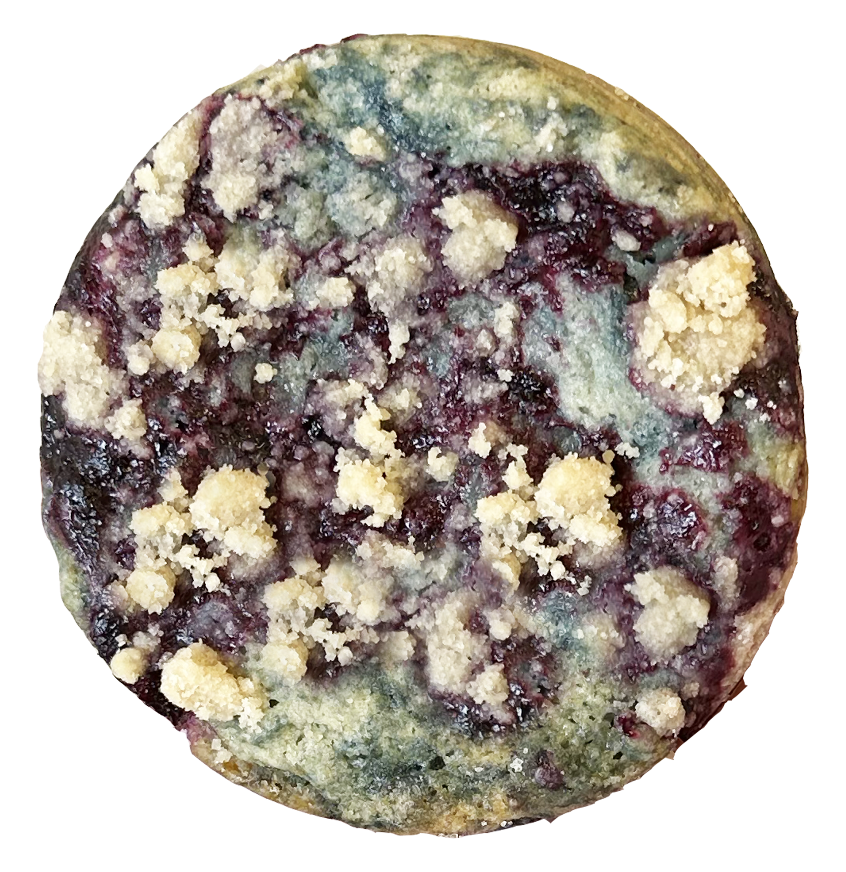 Blueberry Muffin